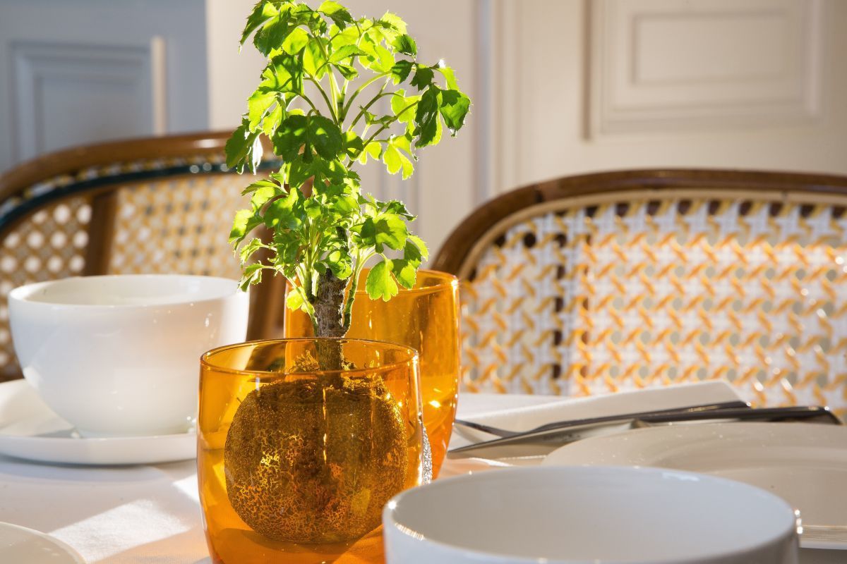 Hotel Monge - Breakfast